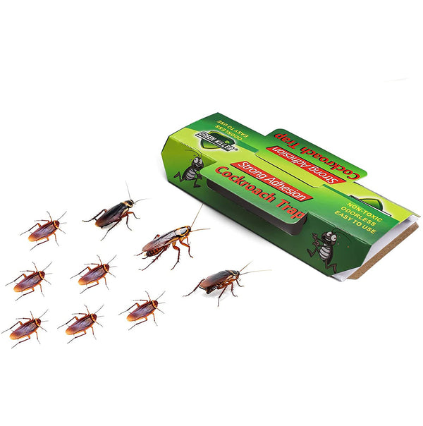 Hced85ca2ac334071992c57dced8329f23.jpg