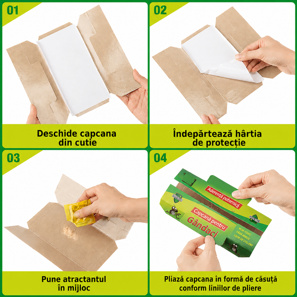 Capcane Puternice pentru Insecte